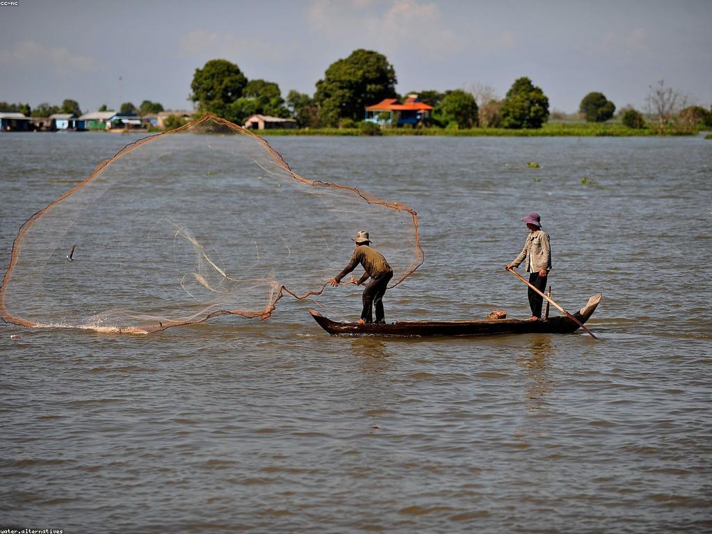 សារៈសំខាន់នៃការអប់រំក្នុងការល្គាប់ត្រី Rare