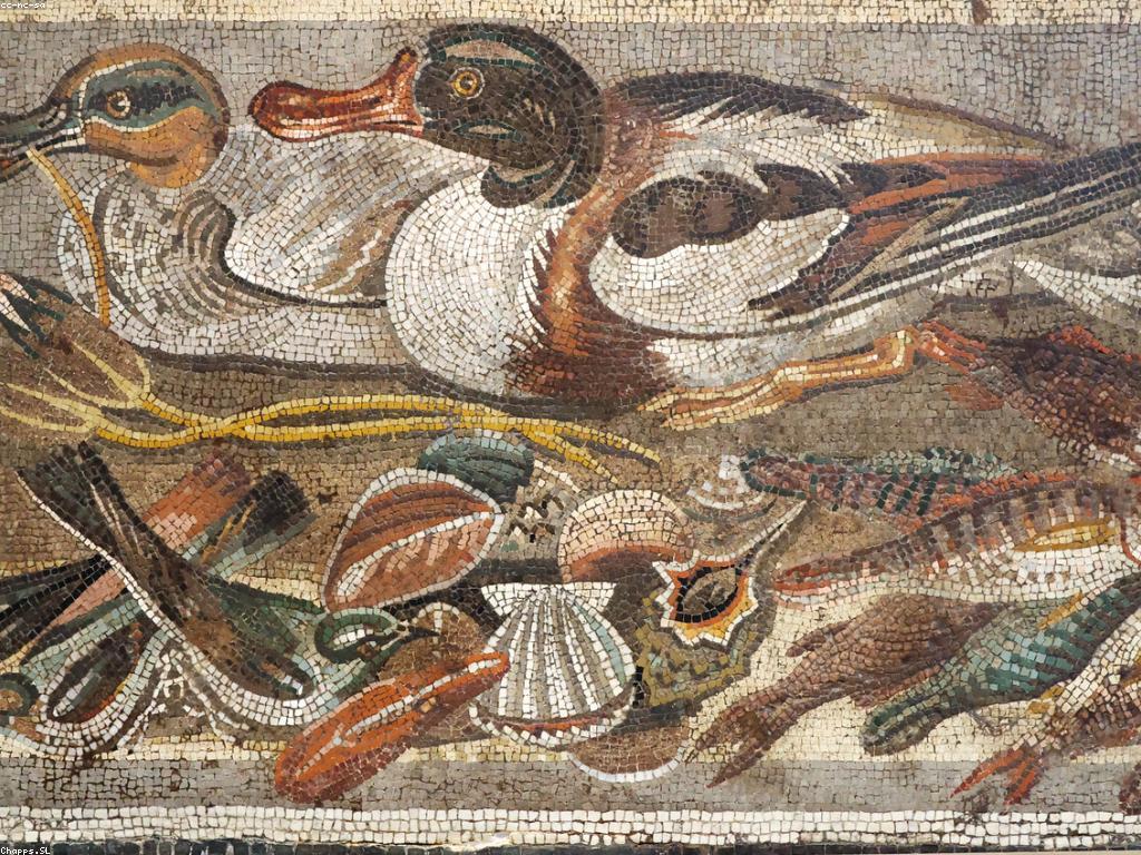 អាហារត្រី Rare: ការស្វែងរក និងការស្វែងយល់