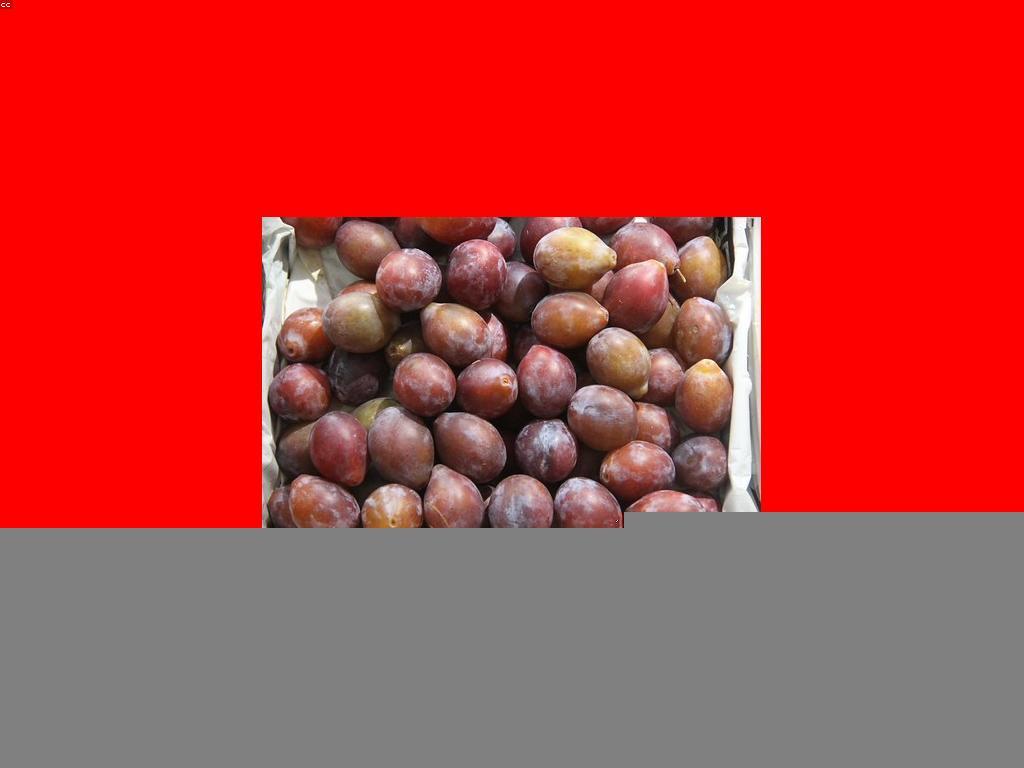 ការយកចិត្តទុកដាក់ដល់អត្ថប្រយោជន៍នៃត្រី Rare