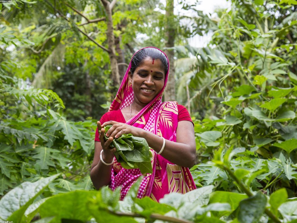 អត្ថប្រយោជន៍សុខភាពនៃត្រី Rare