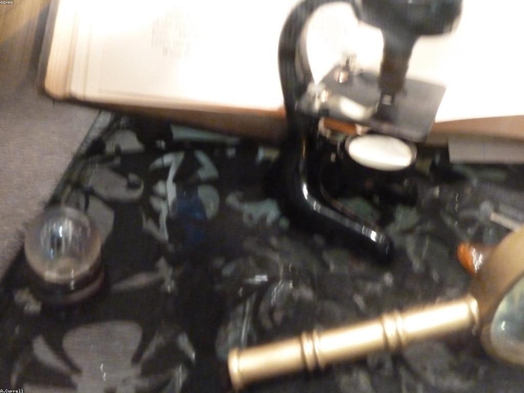 អត្ថប្រយោជន៍សុខភាពនៃត្រី Rare